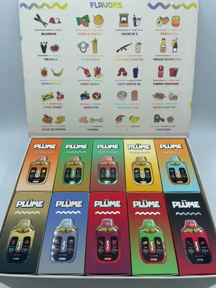 Plume 2G Dispo — disposable vape
