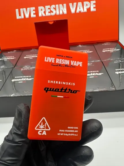 Sherbinski 2g Dispo — disposable vape