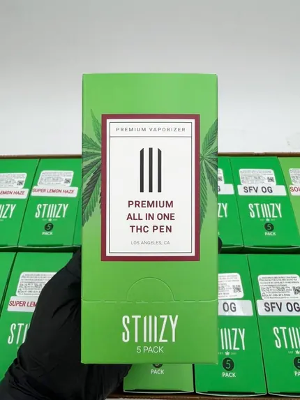 Stiiizy 1G — disposable vape